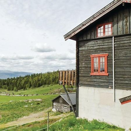Sulseter Fjellstugu Apartamento Vinstra Exterior foto